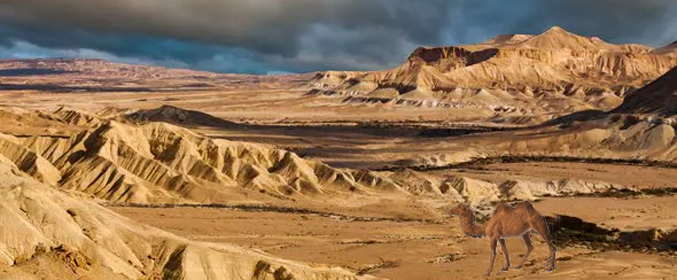 negev panorama